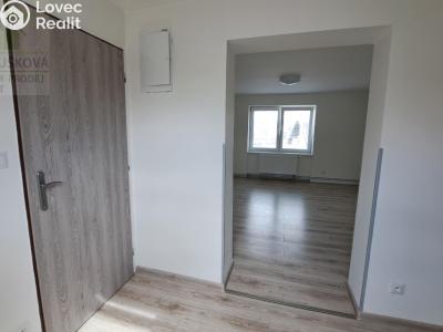 Оренда сімейного будинку Ludgeřovice, Hlučínská č. 8