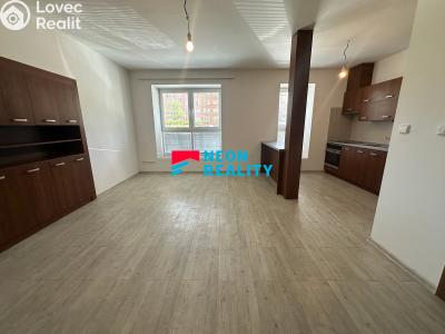 Pronájem bytu 2+KK Ostrava, Petra Křičky č. 4