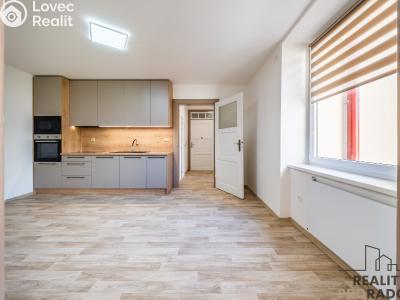 Продажа квартиры 2+1 Veselí nad Moravou č. 10
