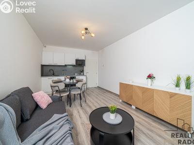 Pronájem bytu 1+KK Olomouc, Frištenského č. 2