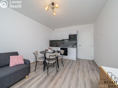 Pronájem bytu 1+KK Olomouc, Frištenského č. 6