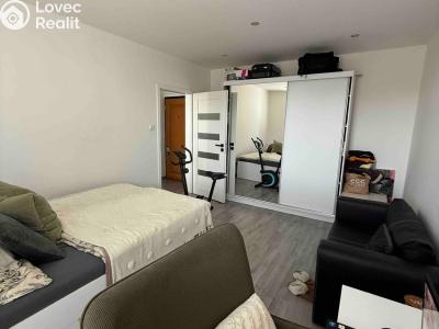 Pronájem bytu 1+1 Olomouc, Fragnerova č. 10