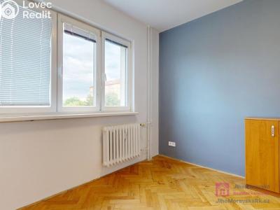 Pronájem bytu 4+1 Hodonín, Cihlářská čtvrť č. 10