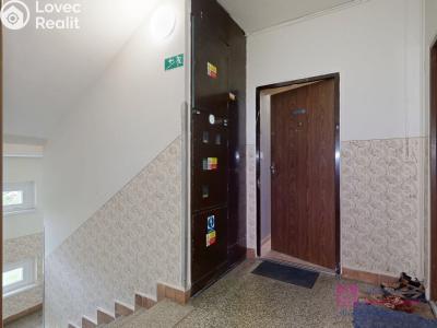 Pronájem bytu 4+1 Hodonín, Cihlářská čtvrť č. 16