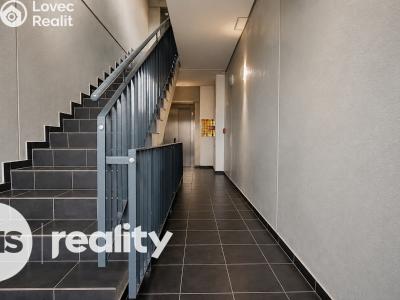 Pronájem bytu 1+KK Opava, Hálkova č. 8