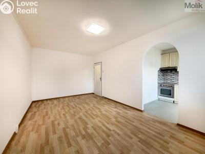 Оренда квартири 2+1 Bílina, Aléská č. 5