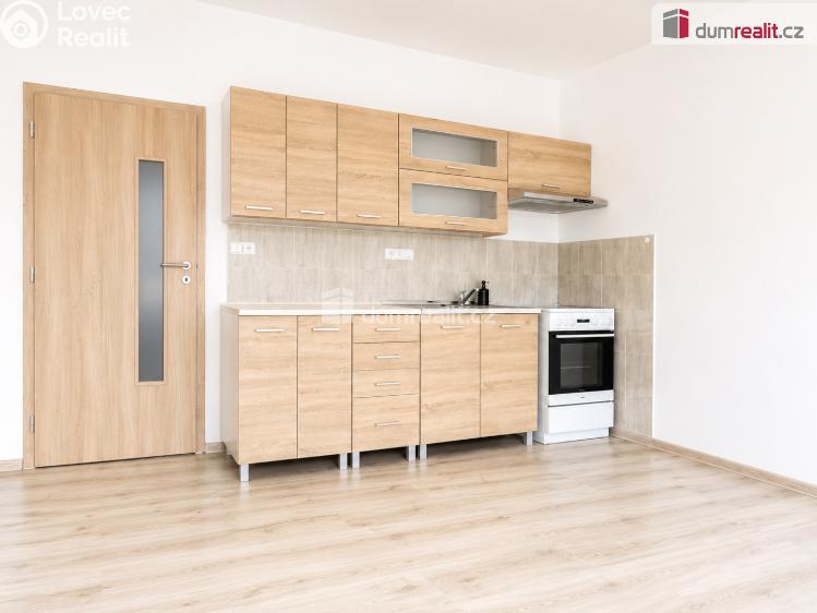 Pronájem bytu 2+KK Ústí nad Labem, Brandtova č. 1