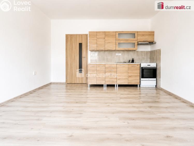 Pronájem bytu 2+KK Ústí nad Labem, Brandtova č. 2