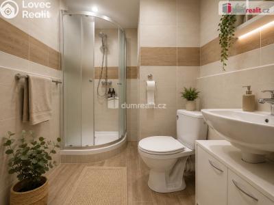 Pronájem bytu 2+KK Ústí nad Labem, Brandtova č. 5