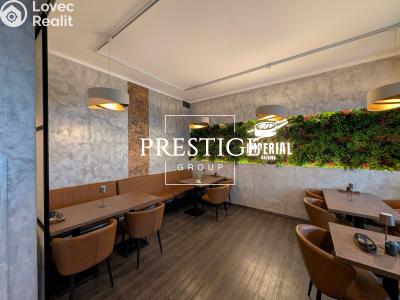 Оренда ресторану Praha, Vlkova č. 5