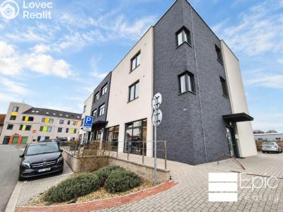 Pronájem bytu 2+KK Mělník, Nůšařská 4385 č. 12