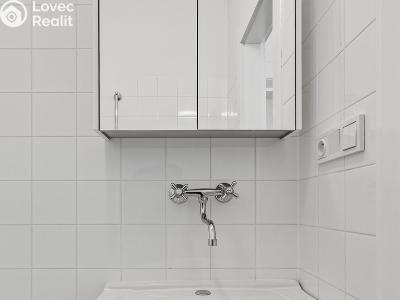Оренда квартири 2+1 Praha, U smaltovny č. 16