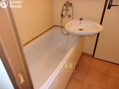 Оренда квартири 2+1 Teplice, Antala Staška č. 7