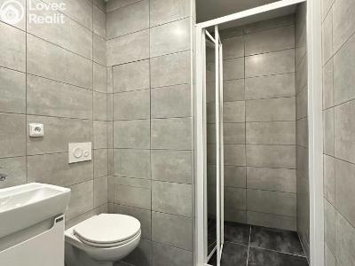 Оренда квартири 1+1 Duchcov, Osecká č. 8