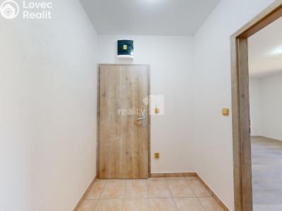 Оренда квартири 1+KK Senožaty č. 10