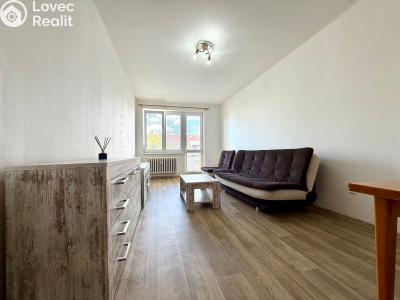 Оренда квартири 2+1 Tachov, Hornická č. 1