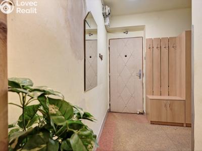 Продаж квартири 2+1 Rudník č. 7