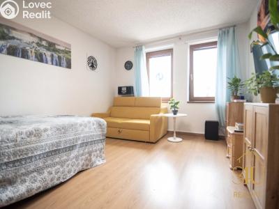 Prodej bytu 2+1 Ploskovice č. 4