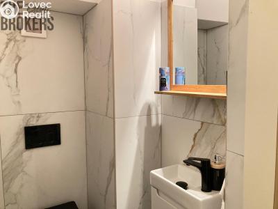 Rent apartment 2+1 Praha, Nový Svět č. 10