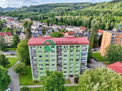 Prodej bytu 3+1 Mariánské Lázně, Hroznatova č. 15