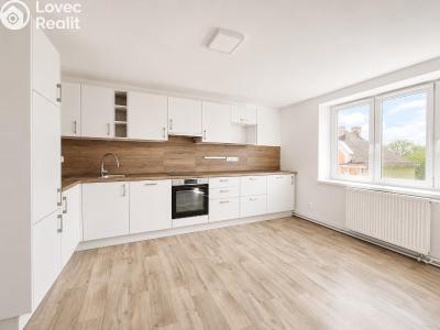 Rent apartment 5+1 Pečky, Tř. 5. května 357 č. 1