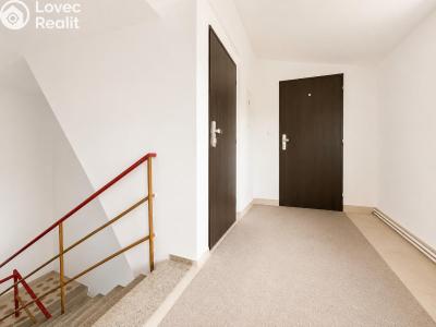 Rent apartment 5+1 Pečky, Tř. 5. května 357 č. 9