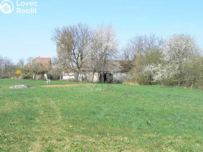Prodej zemědělské usedlosti Lužice č. 36
