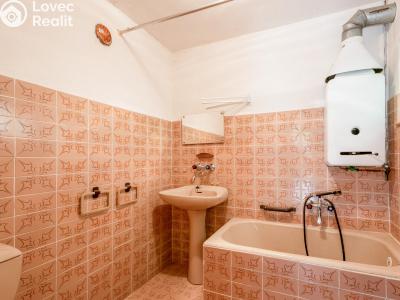 Продаж хатини Leština č. 11
