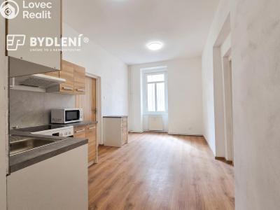 Pronájem bytu 3+KK Teplice, Havlíčkova č. 3