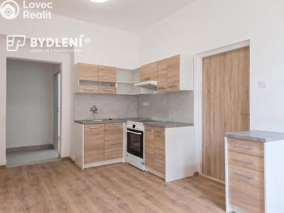 Pronájem bytu 3+KK Teplice, Havlíčkova č. 15