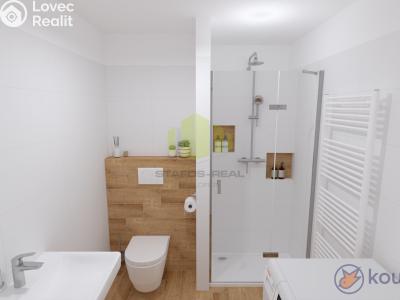 Sale apartment 1+KK Lipník nad Bečvou, Mánesova č. 6