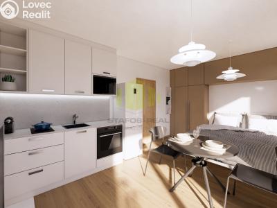 Sale apartment 1+KK Lipník nad Bečvou, Mánesova č. 1