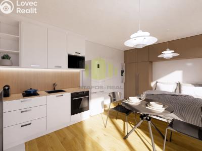 Sale apartment 1+KK Lipník nad Bečvou, Mánesova č. 1