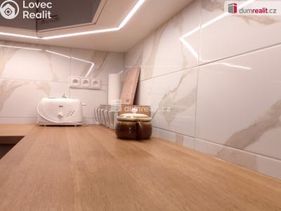 Sale apartment 3+1 Karlovy Vary, Severní č. 17