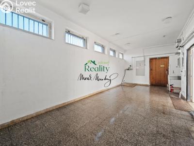Prodej obchodního prostoru Sovětice č. 13