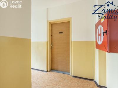 Sale apartment 3+1 Praha, Ouholická č. 26