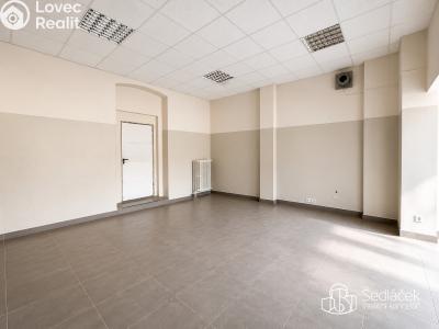 Pronájem komerční nemovitosti Sokolov, Nádražní č. 5