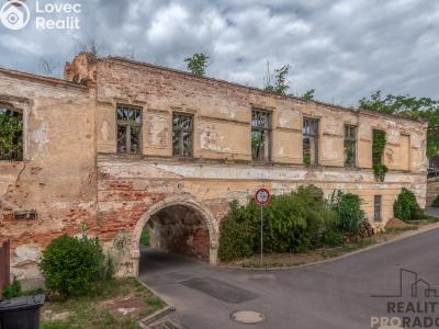 Sale historical properties Tasovice č. 1