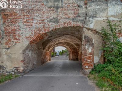 Sale historical properties Tasovice č. 3