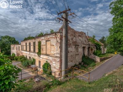 Sale historical properties Tasovice č. 4