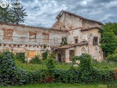 Sale historical properties Tasovice č. 5