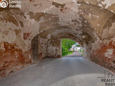 Sale historical properties Tasovice č. 7