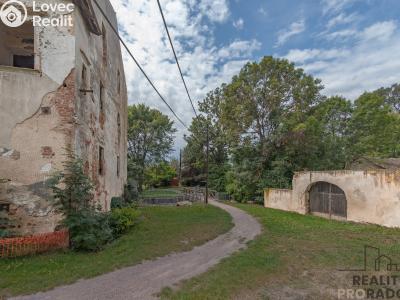 Sale historical properties Tasovice č. 8