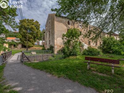 Sale historical properties Tasovice č. 9