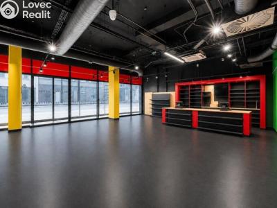 Rent commercial space Praha 4, Nusle, Nuselská č. 19