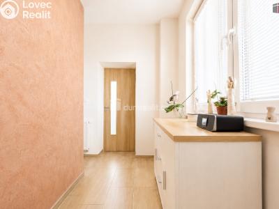 Prodej výrobní haly Lanžhot, Nová č. 13