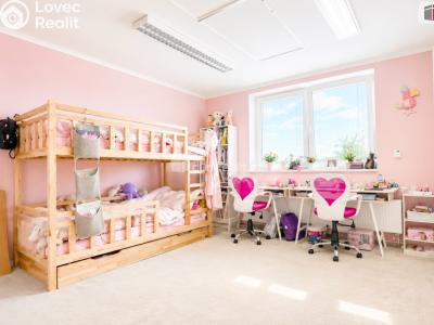 Prodej výrobní haly Lanžhot, Nová č. 16