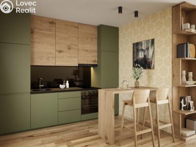 Sale apartment 2+KK Deštné v Orlických horách č. 6