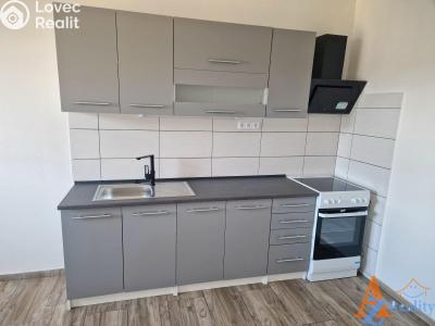 Pronájem bytu 3+1 Děčín, V Sídlišti 390 č. 1