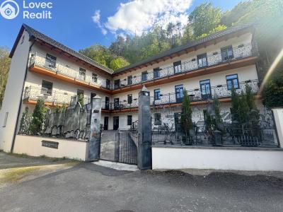 Sale apartment 1+KK Horní Břečkov č. 1
